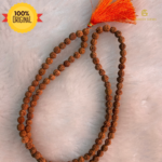 108 Rudraksha Beads Japa Mala